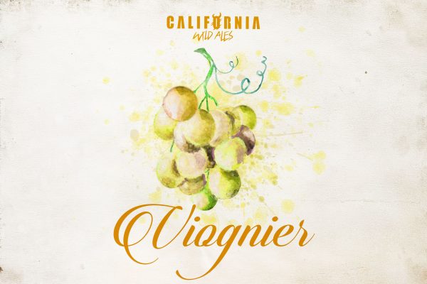 viognier-wine-grape-sour-california wild ales