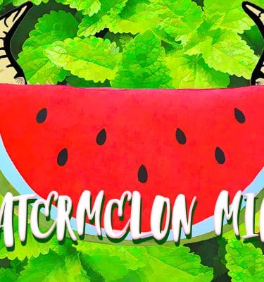 Watermelon Mint Hard Seltzer - California Wild Ales
