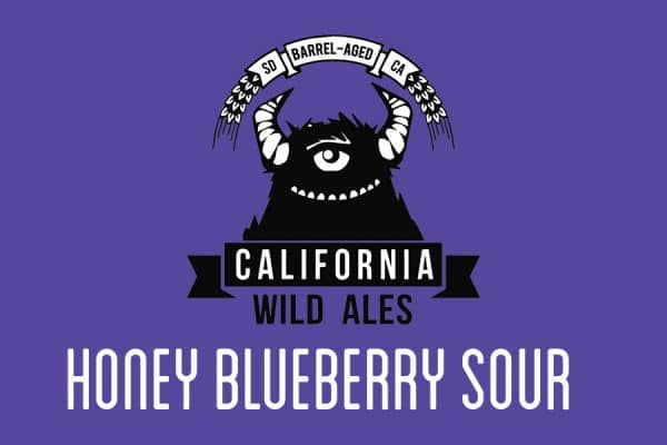honey-blueberry-sour-beer